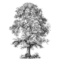 untitled design (1)